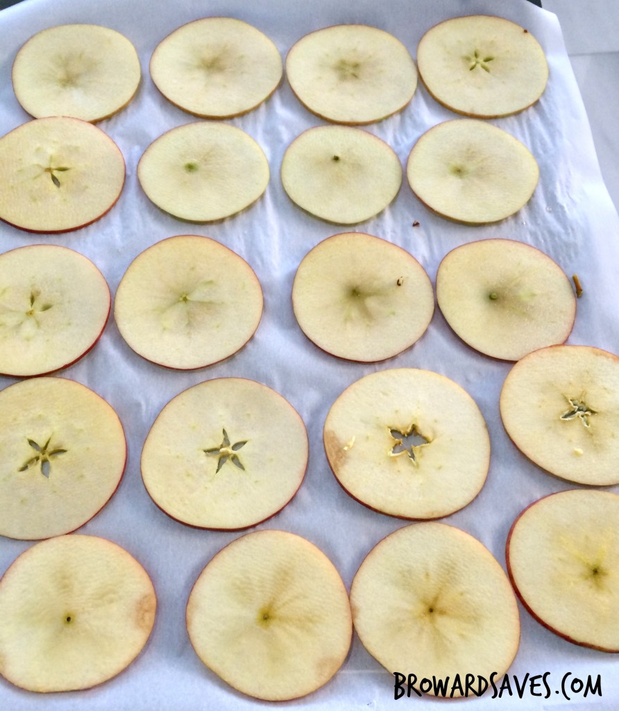 Crunchy Apple Chips - Made in the oven without the need of a dehydrator. Easy, healthy and super crunchy!