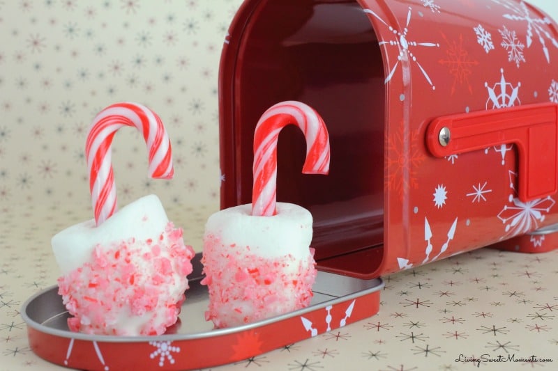 These easy to make Candy Cane Marshmallows are the perfect snack for the Holidays. Kids will have a lot of fun decorating these. They double as an ornament.