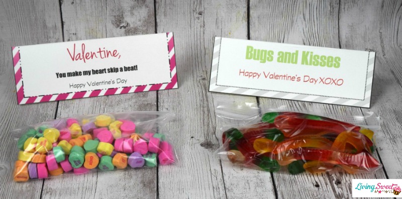 DIY Valentine's Gift For Kids - Your kids will enjoy these cute treat bags and give them out to all of their friends. Comes with free printable label. 