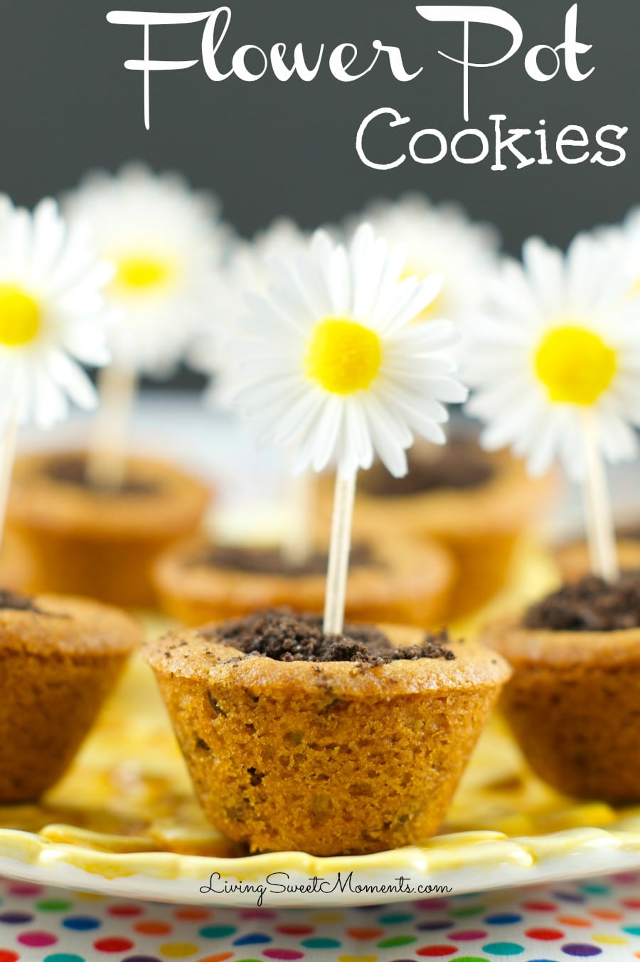 Flower Pot Cookies - Chocolate Chip Cookie cups filled with hazelnut chocolate and topped with crushed chocolate cookies. Welcome Spring with yummy cookies.