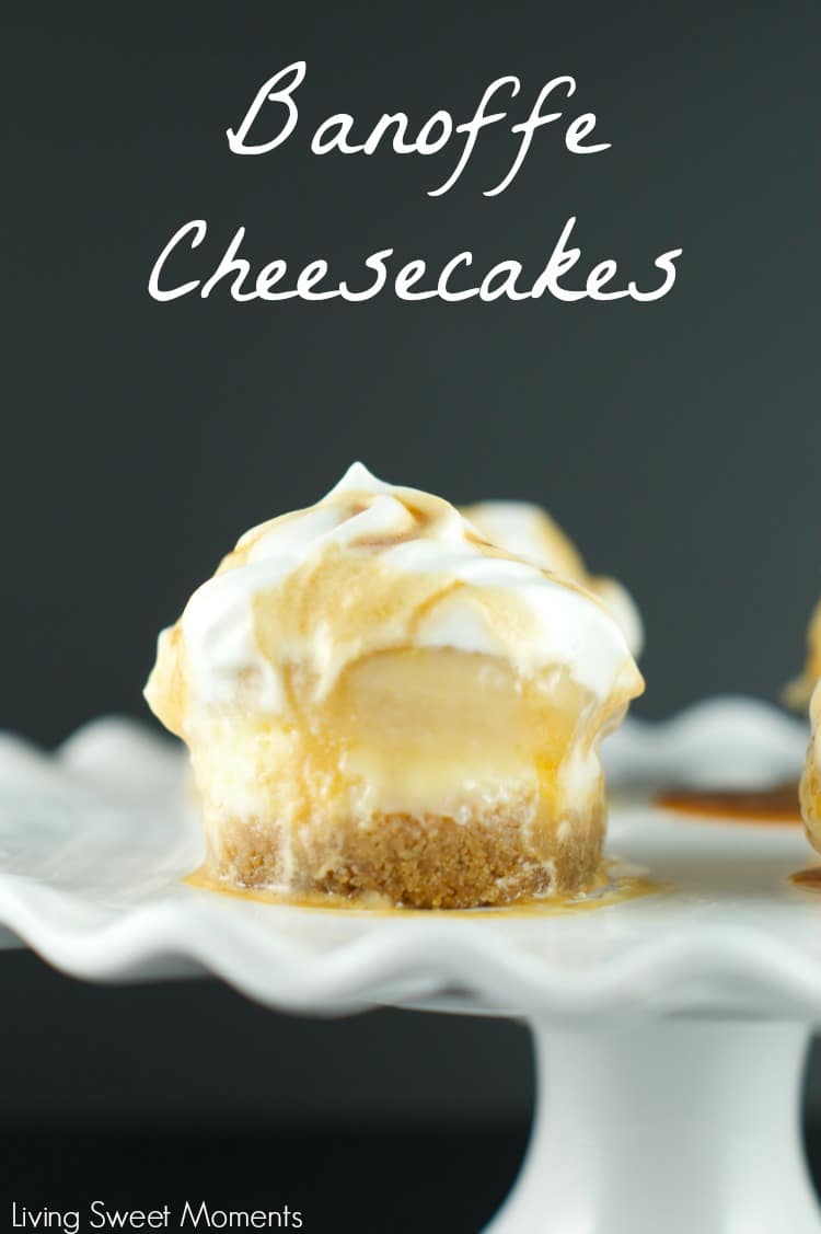 Mini No Bake Cheesecakes - Flavor the Moments