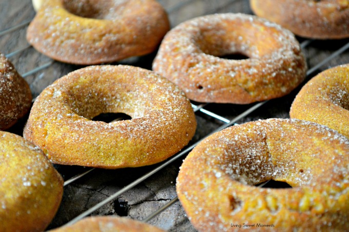 Baked Pumpkin Doughnuts - These are the best fall doughnuts you will ever try! They are so soft and moist and loaded with pumpkin/cinnamon flavor! Yummy!