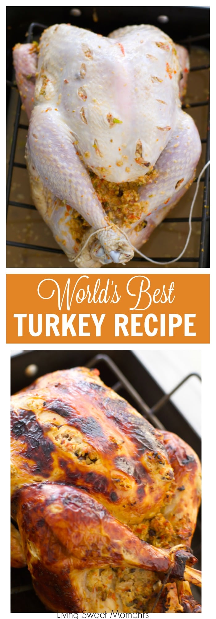 The World's Best Turkey Recipe - A Tutorial - Living Sweet Moments