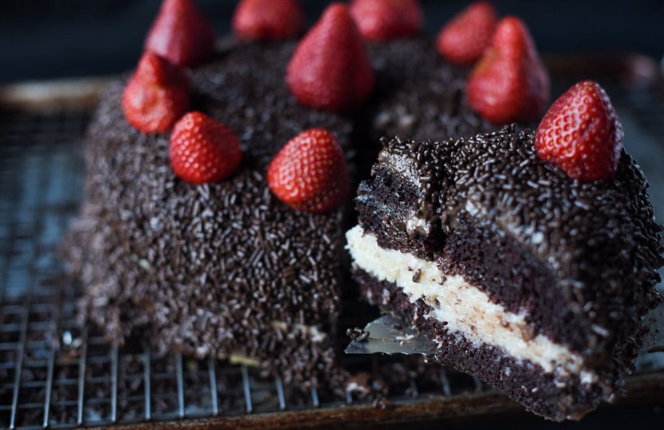 Here's 10 of the most amazing Dark Chocolate Cake Recipes you will ever try. From the cake layers, to the frosting. For a decadent and delicious dessert. 