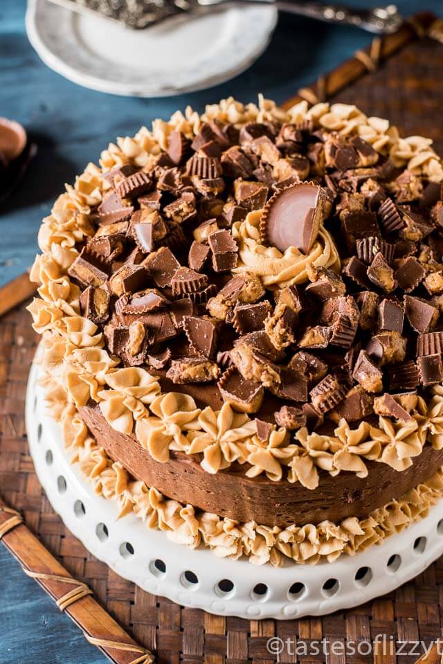 Here's 10 of the most amazing Dark Chocolate Cake Recipes you will ever try. From the cake layers, to the frosting. For a decadent and delicious dessert.