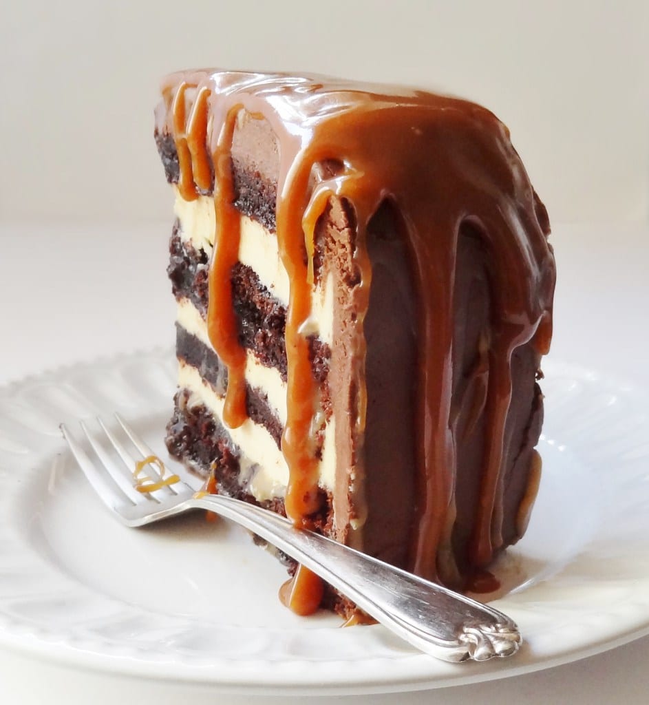 Here's 10 of the most amazing Dark Chocolate Cake Recipes you will ever try. From the cake layers, to the frosting. For a decadent and delicious dessert. 