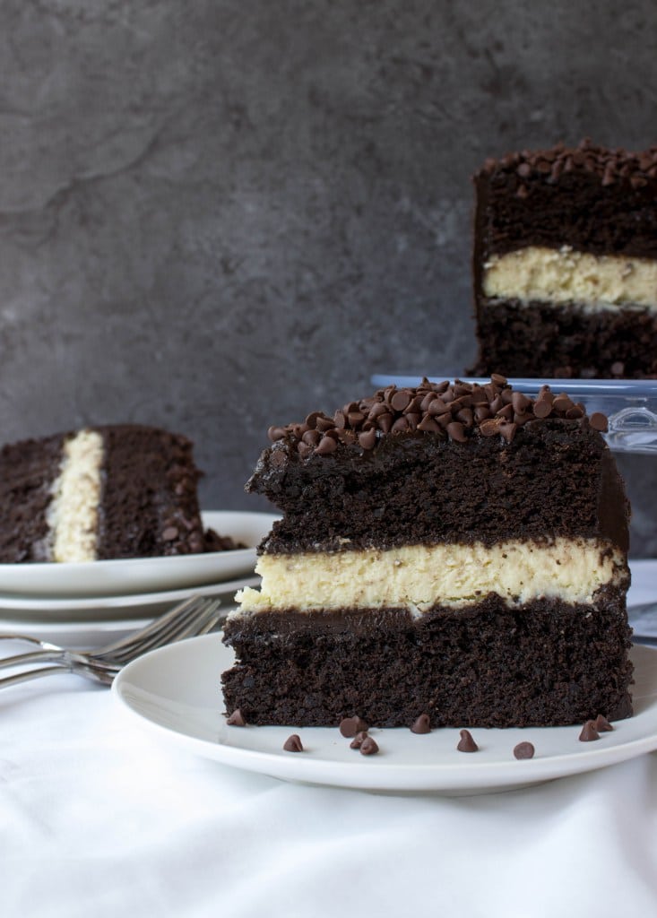 Here's 10 of the most amazing Dark Chocolate Cake Recipes you will ever try. From the cake layers, to the frosting. For a decadent and delicious dessert. 