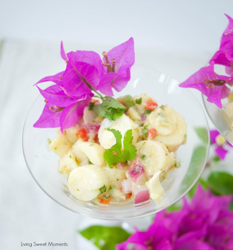 This Hearts Of Palm Ceviche recipe is the perfect vegan appetizer that you can whip up in 10 minutes or less. Enjoy the fresh citrusy flavors with avocado.