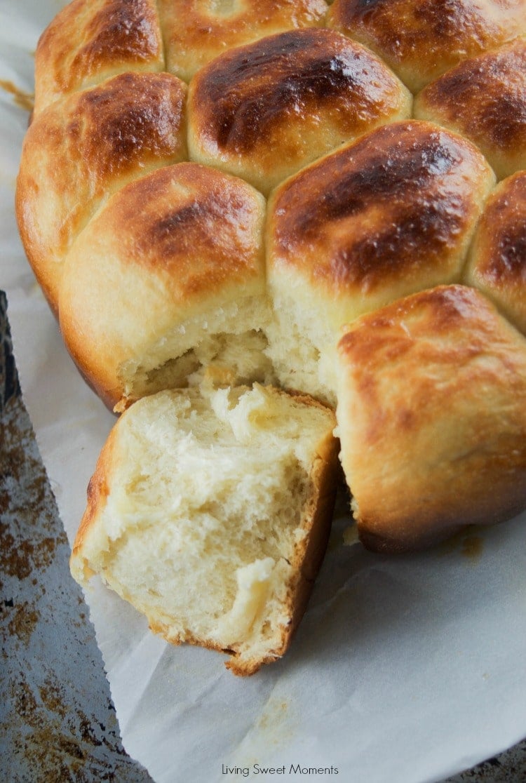 These buttery Slow Cooker Dinner Rolls do not require proofing and are sweet, soft and delicious. Perfect to serve with dinner or with jam at breakfast. 