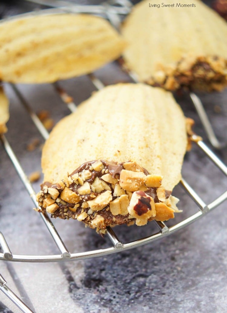 This melt in your mouth hazelnut Madeleines recipe is made with brown butter and ground hazelnuts for an amazing taste. The perfect delicate French cookie.