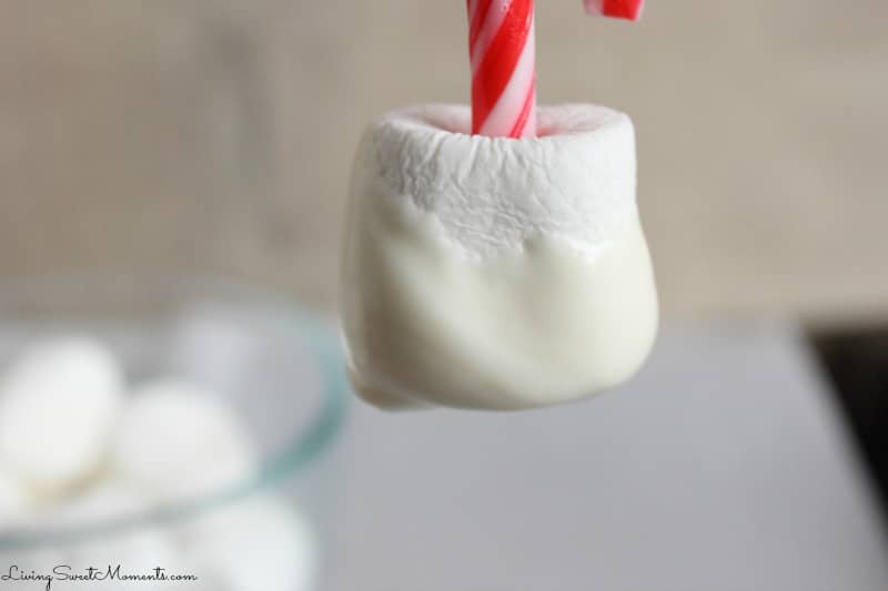 These easy to make Candy Cane Marshmallows are the perfect snack for the Holidays. Kids will have a lot of fun decorating these. They double as an ornament.