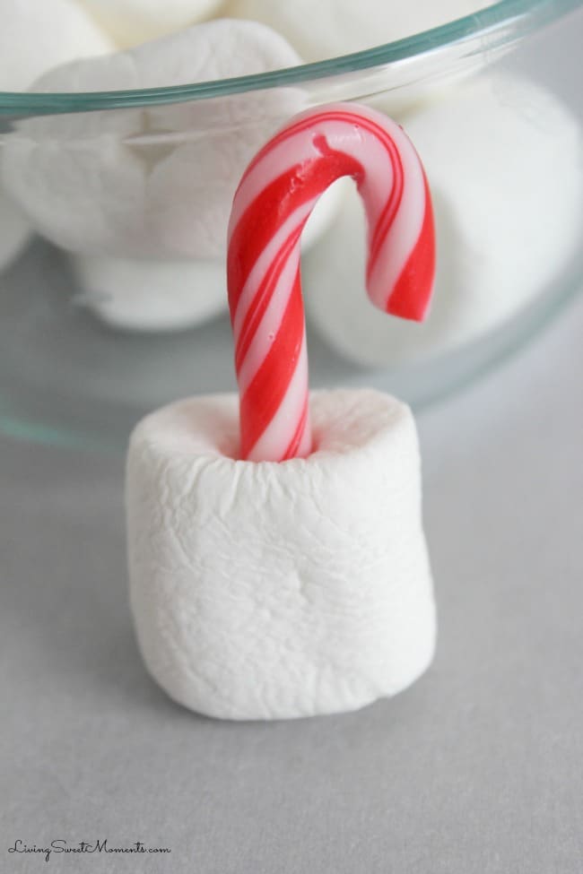 These easy to make Candy Cane Marshmallows are the perfect snack for the Holidays. Kids will have a lot of fun decorating these. They double as an ornament.