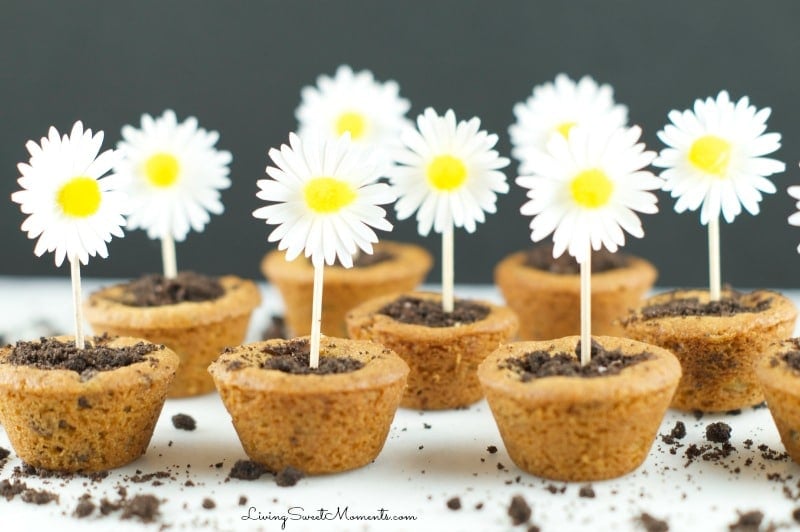 Flower Pot Cookies - Chocolate Chip Cookie cups filled with hazelnut chocolate and topped with crushed chocolate cookies. Welcome Spring with yummy cookies.