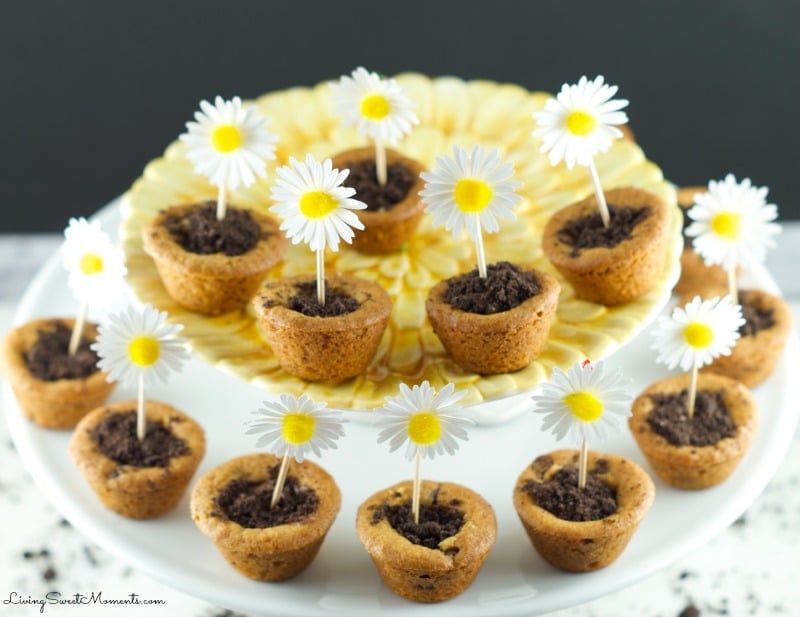 Flower Pot Cookies - Chocolate Chip Cookie cups filled with hazelnut chocolate and topped with crushed chocolate cookies. Welcome Spring with yummy cookies.