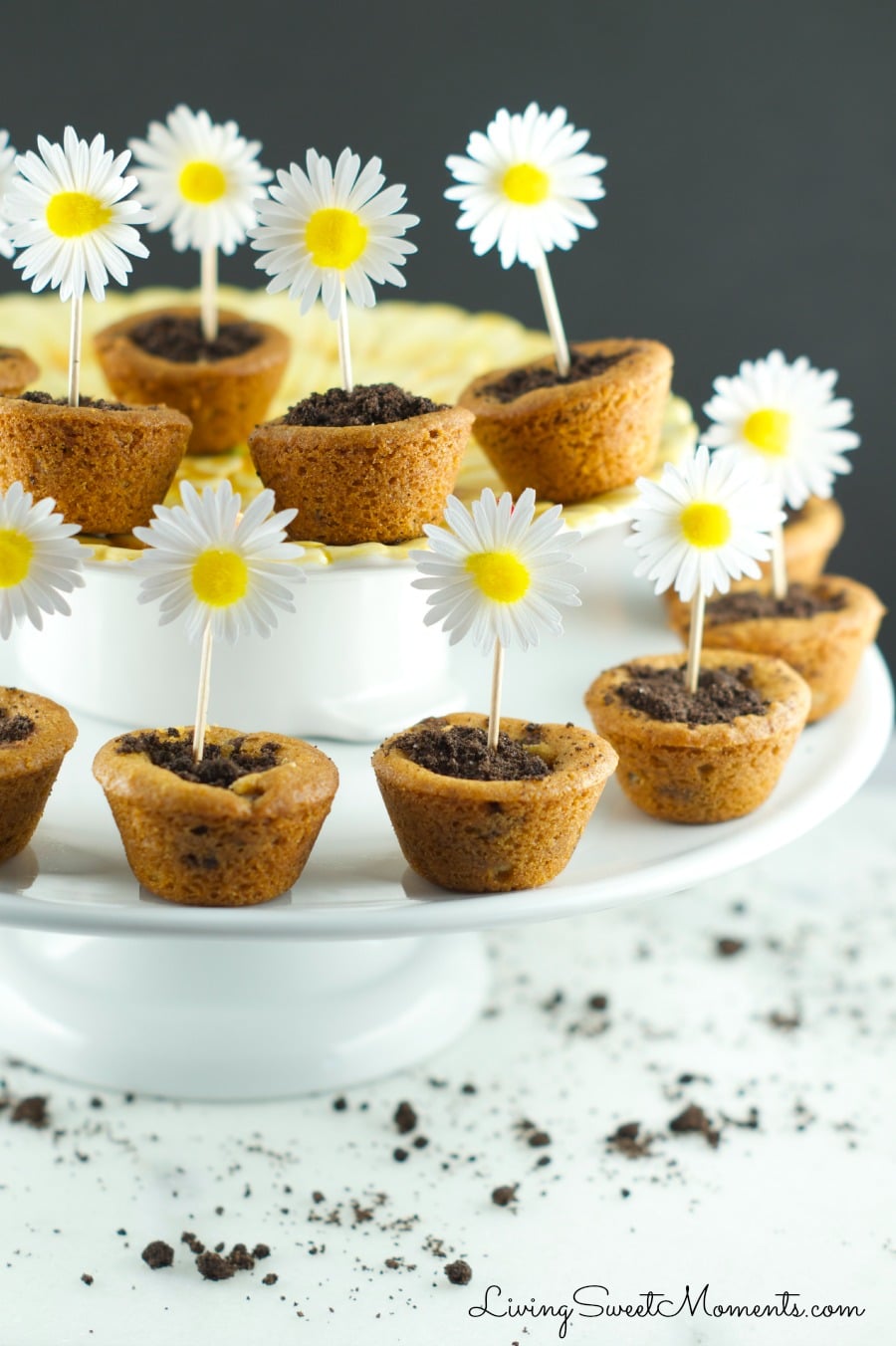 Flower Pot Cookies - Chocolate Chip Cookie cups filled with hazelnut chocolate and topped with crushed chocolate cookies. Welcome Spring with yummy cookies.