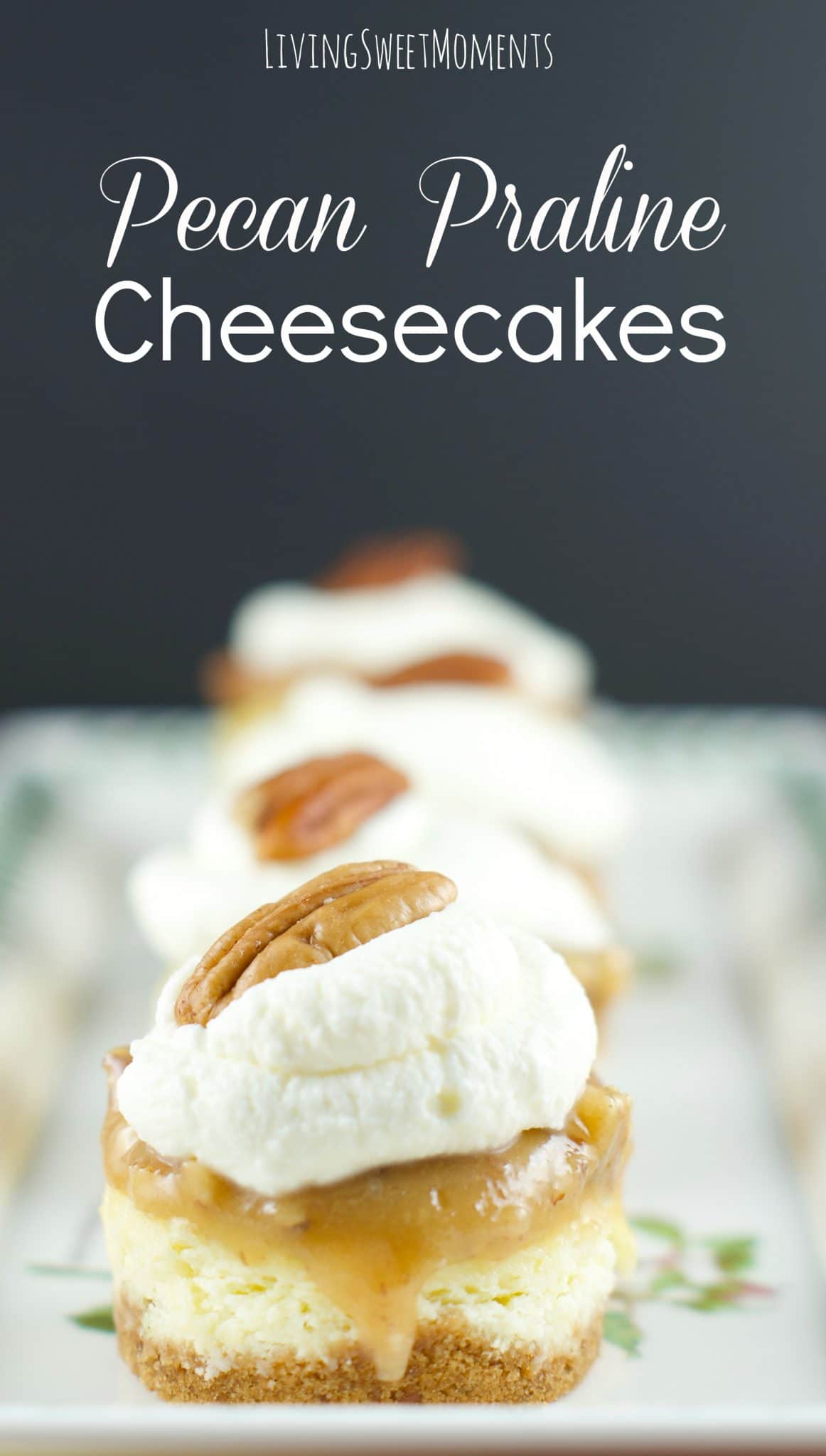 Pecan Praline Mini Cheesecakes - this is the best cheesecake recipe ever! these vanilla cheesecake bites are topped with pecan praline and chantilly cream.