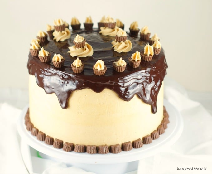 Chocolate Peanut Butter Cheesecake Cake - This is amazing cake features 2 chocolate cakes, a peanut butter cheesecake all covered in peanut butter buttercream and drizzled with chocolate ganache. The ultimate dessert. Find more at www.livingsweetmoments.com