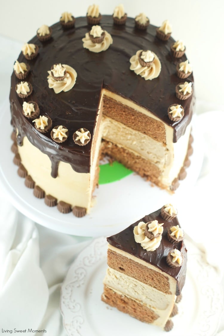 Chocolate Peanut Butter Cheesecake Cake - This is amazing cake features 2 chocolate cakes, a peanut butter cheesecake all covered in peanut butter buttercream and drizzled with chocolate ganache. The ultimate dessert. Find more at www.livingsweetmoments.com