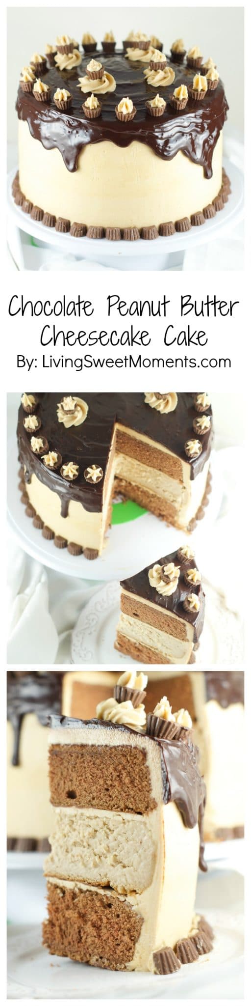 Chocolate Peanut Butter Cheesecake Cake - This is amazing cake features 2 chocolate cakes, a peanut butter cheesecake all covered in peanut butter buttercream and drizzled with chocolate ganache. The ultimate dessert. More cake recipes at livingsweetmoments.com