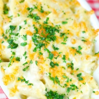 Chicken Alfredo Baked Pasta - delicious homemade Alfredo sauce tossed with pasta, cooked chicken and cheese. Perfect for a quick weeknight meal or for company.