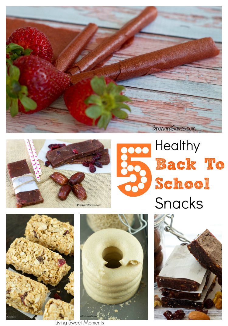 Here's a collection of easy to make, healthy and delicious lunchbox snacks that are kid and mom approved. Your child will love the bars, rice cakes and more