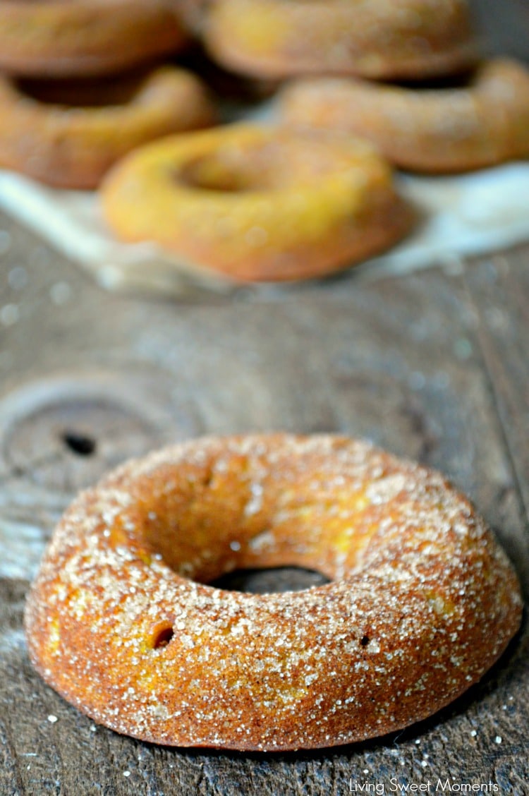 Baked Pumpkin Doughnuts - These are the best fall doughnuts you will ever try! They are so soft and moist and loaded with pumpkin/cinnamon flavor! Yummy!