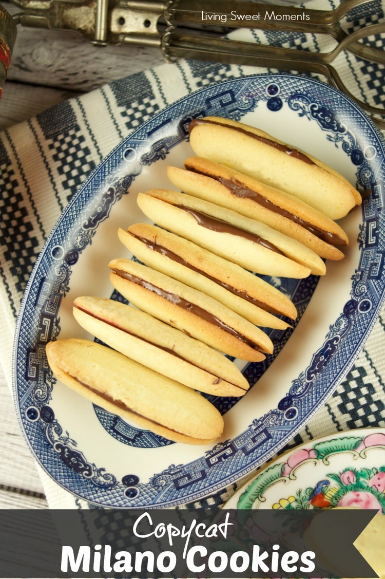 These Copycat Milano Cookies are easy to make and delish. Enjoy 2 shortbread cookies sandwiched together with chocolate. The perfect after dinner dessert. 