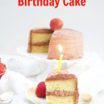 This delicious Diabetic Birthday Cake Recipe has a sugar free vanilla cake with sugar free chocolate frosting. A decadent and tasty dessert for everyone!
