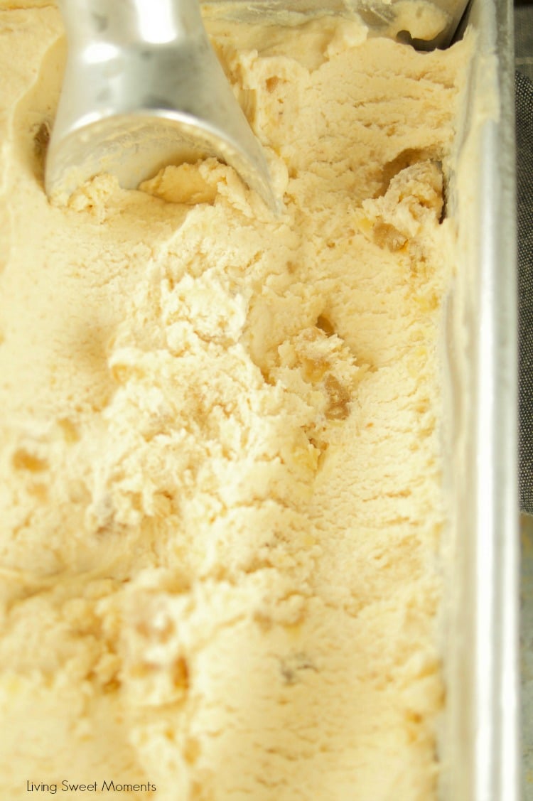 This delicious Chestnut Ice Cream Recipe is made with only 5 ingredients and chunks of real marron glace pieces inside. No ice cream machine required! Yummy