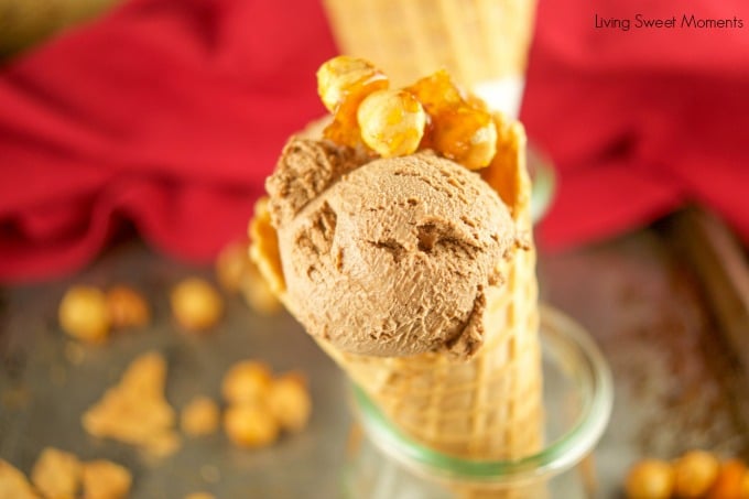 This easy Hazelnut Chocolate Ice Cream Recipe (gianduia) does not require an ice cream machine. It is made with hazelnut praline and bittersweet chocolate.