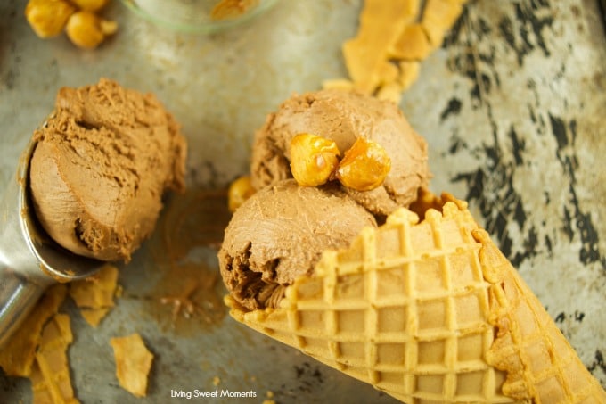 This easy Hazelnut Chocolate Ice Cream Recipe (gianduia) does not require an ice cream machine. It is made with hazelnut praline and bittersweet chocolate.