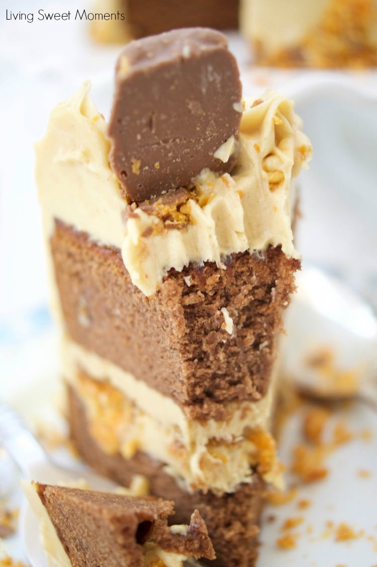 This delicious Butterfinger Cake Recipe dessert is made from scratch and features a moist chocolate cake with peanut butter frosting and butterfingers. 