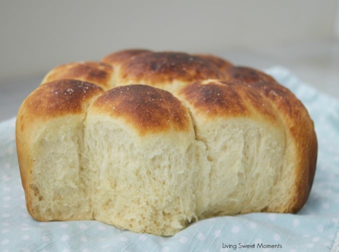 These buttery Slow Cooker Dinner Rolls do not require proofing and are sweet, soft and delicious. Perfect to serve with dinner or with jam at breakfast. 