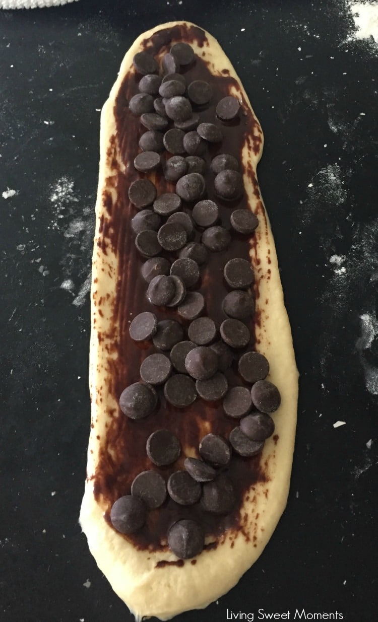 This incredible double Chocolate Challah recipe is a cross between a babka and a challah. Perfect for breakfast and brunch or ideal for french toast.