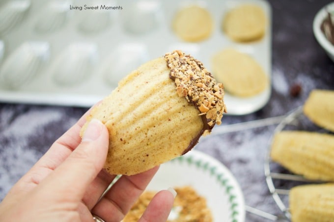 This melt in your mouth hazelnut Madeleines recipe is made with brown butter and ground hazelnuts for an amazing taste. The perfect delicate French cookie.