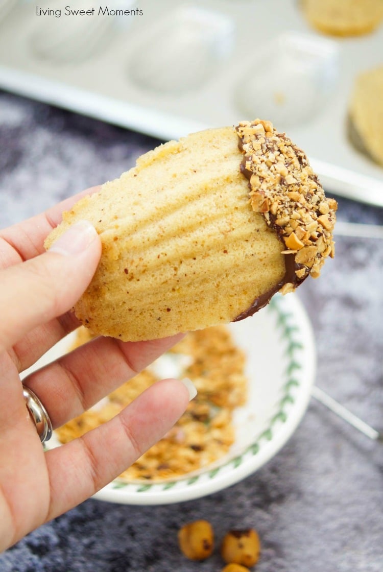 This melt in your mouth hazelnut Madeleines recipe is made with brown butter and ground hazelnuts for an amazing taste. The perfect delicate French cookie.