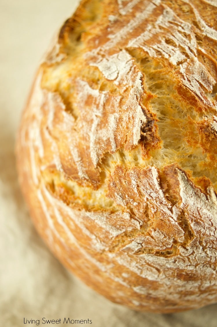 This crusty and delicious Instant Pot Sourdough Bread closeup of the loaf