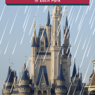 Check out the following Disney Attractions to Help you Wait out the Rain in each park. Rain in Orlando can be frequent so it's best to plan ahead.