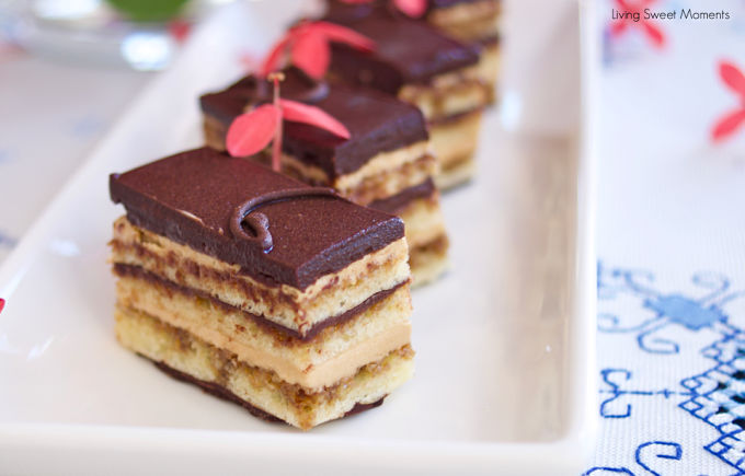 Opera Cake - Taming of the Spoon