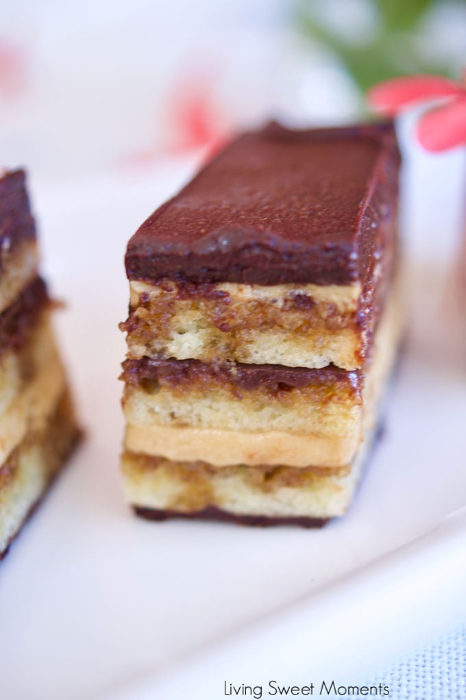 My favorite French dessert. This scrumptious classic Opera Cake recipe is composed of 7 layers of cake, chocolate, and coffee flavored french buttercream.