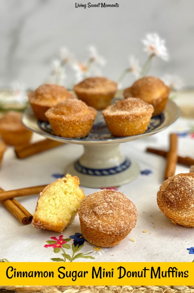 These delicate Cinnamon Sugar Mini Donut Muffins have a moist soft crumb with a crunchy cinnamon sugar topping. Perfect to serve with coffee or breakfast. 