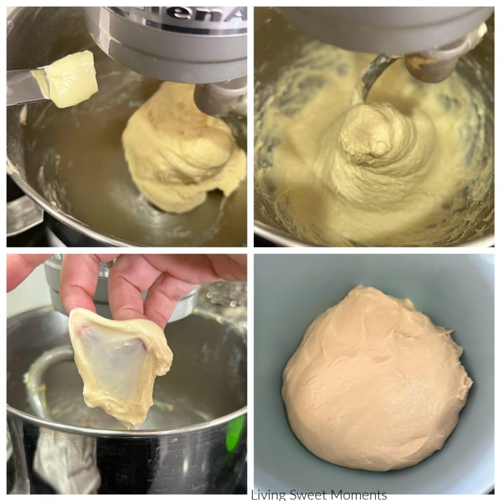 Sourdough chocolate babka step photos