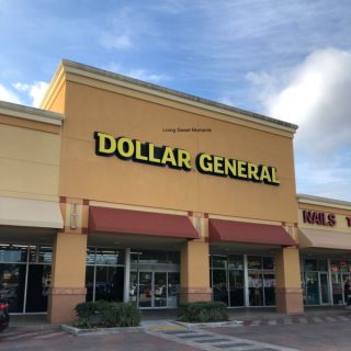 Have you downloaded the new Dollar General App? The new DG Go! App allows you to upload coupons, scan products, check your total and more!