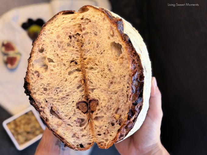 Honey fig walnut sourdough with golden crust, caramelized figs, and crunchy walnuts, an artisan loaf made easy with gentle coil folds.