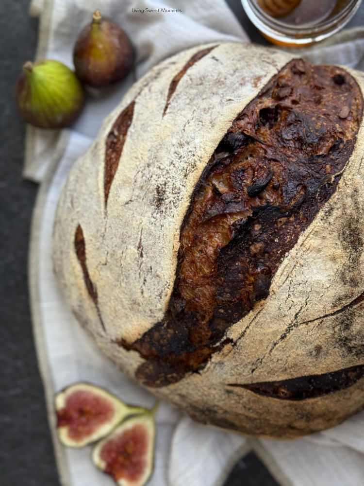 Honey fig walnut sourdough with golden crust, caramelized figs, and crunchy walnuts, an artisan loaf made easy with gentle coil folds.