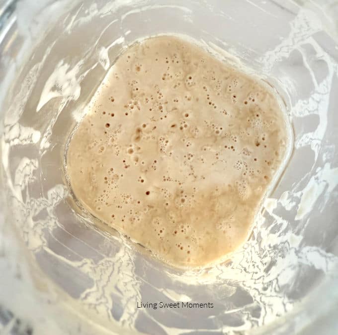 Day 4 quiet phase with fewer bubbles and possible hooch