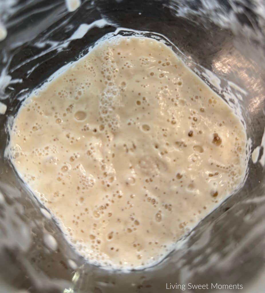 Day 5 starter full of bubbles and rise