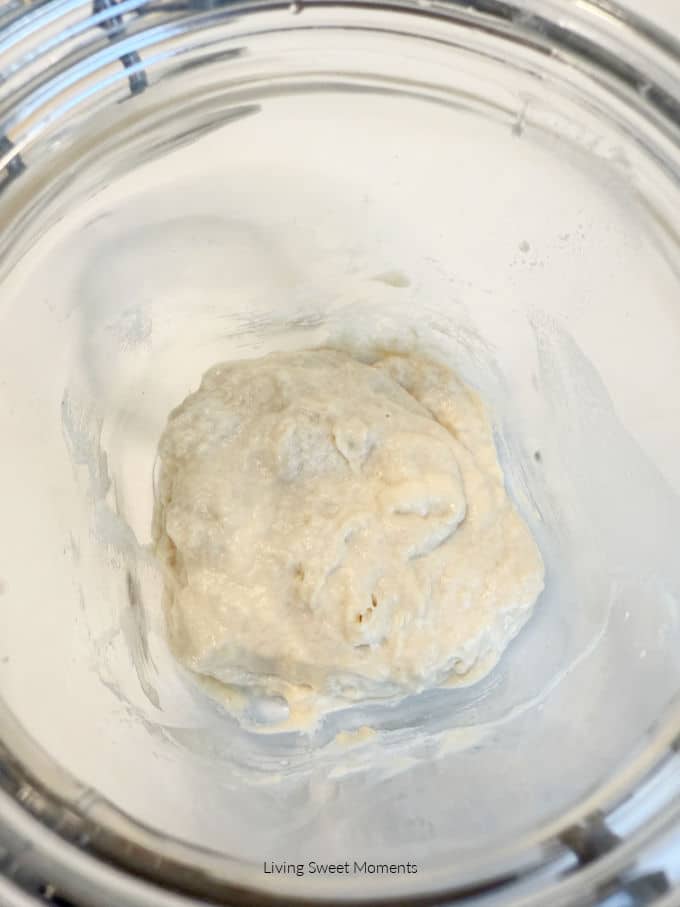 Day 1: freshly mixed flour and water in a jar