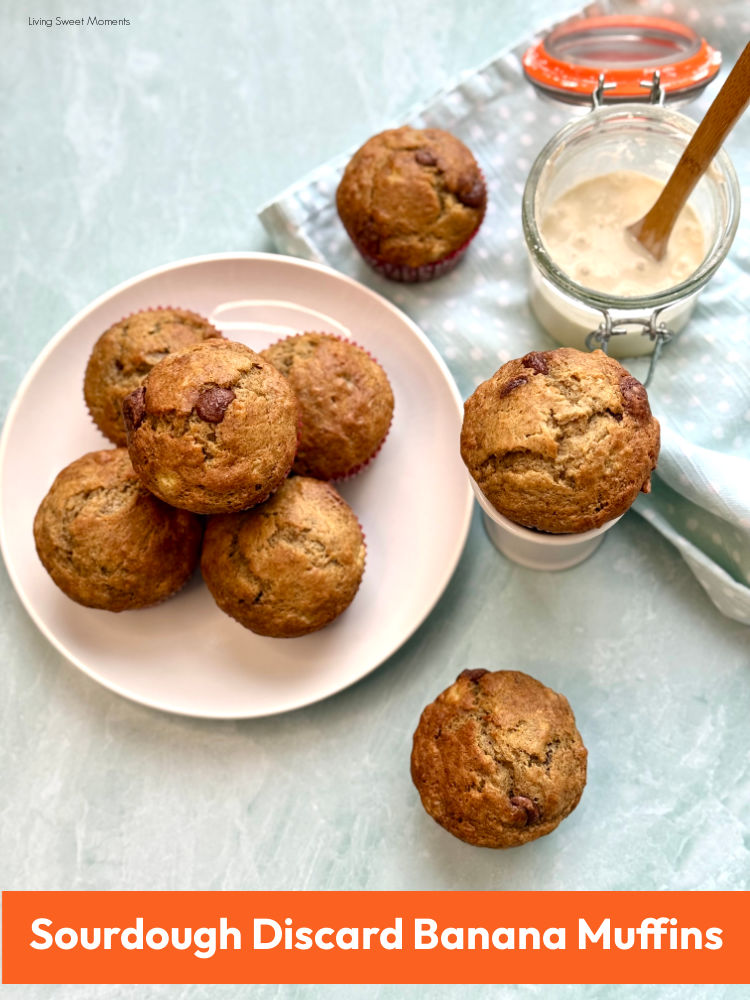 Soft, moist sourdough discard banana muffins with chocolate chips baked in two bowls for a tender crumb and perfect domed tops