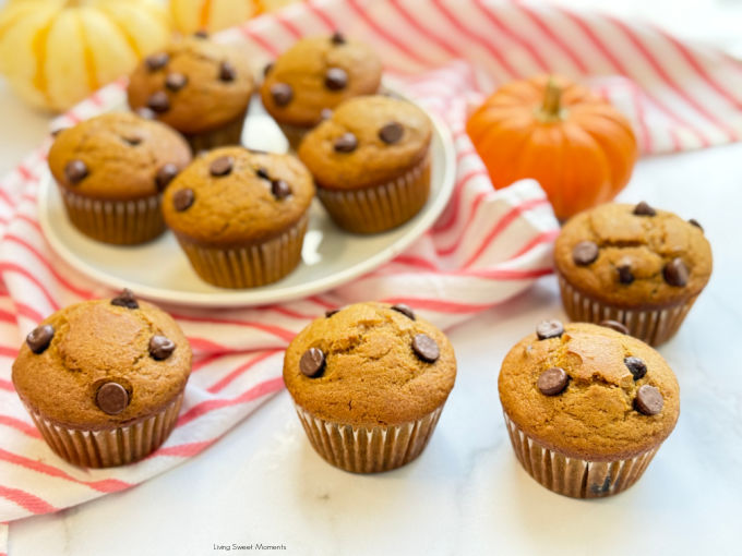 Moist sourdough discard pumpkin muffins with chocolate chips, fluffy, spiced, and perfect for using up starter discard this fall.
